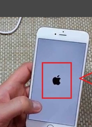 1632991252384704.png image.png