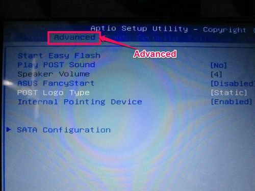 1482913004967741.jpg 3.jpg