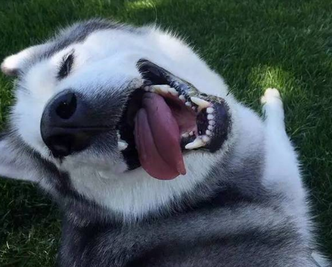 错误代码 错误代码