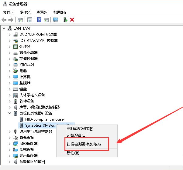 1618902398119309.png image.png