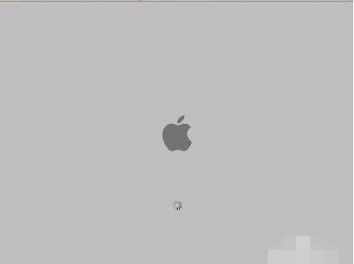 1636772238922214.png image.png