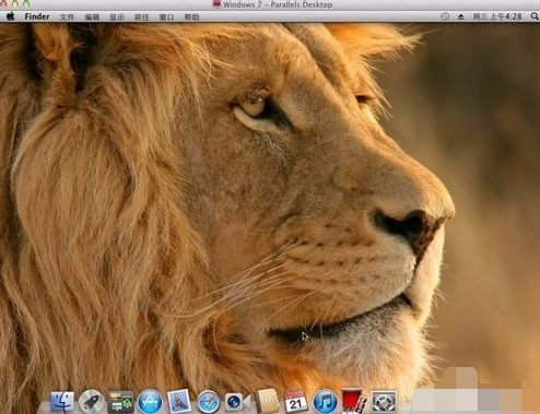 1636772315177420.png image.png