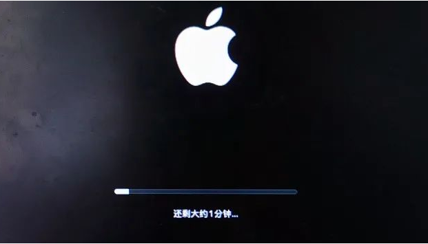 1637048268999154.png image.png