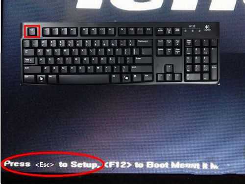 1484375686675340.jpg 2.jpg