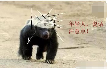 电脑显示器 电脑显示器