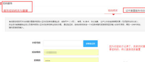手机服务密码 手机服务密码