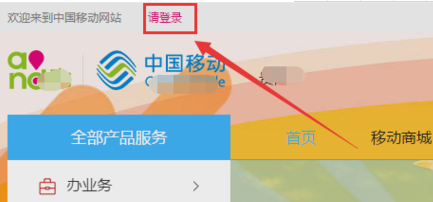 服务密码 服务密码