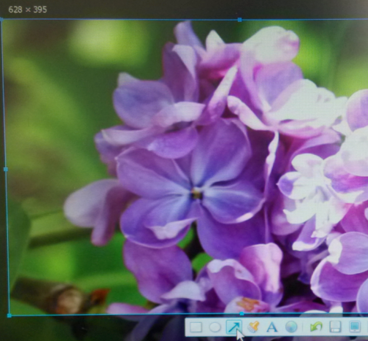 电脑截屏 电脑截屏