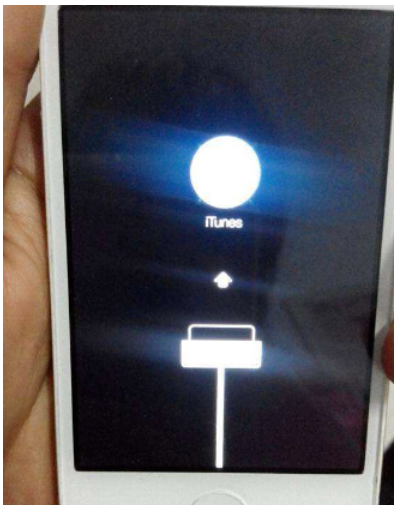 苹果手机怎么连接到电脑 苹果手机怎么连接到电脑