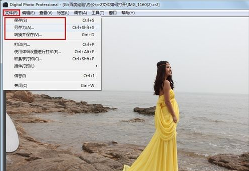 如何打开cr2文件 如何打开cr2文件