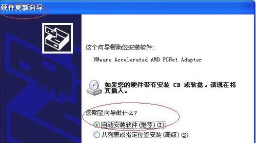 网卡 网卡