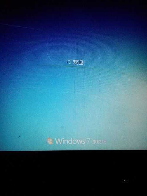 1483858975232242.jpg 7.jpg