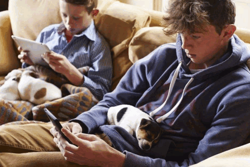 1582741602100694.png 7af40ad162d9f2d3083ea98aa6ec8a136327ccac.png