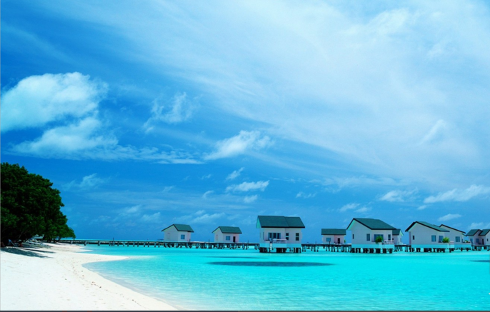 1600048786927033.png image.png