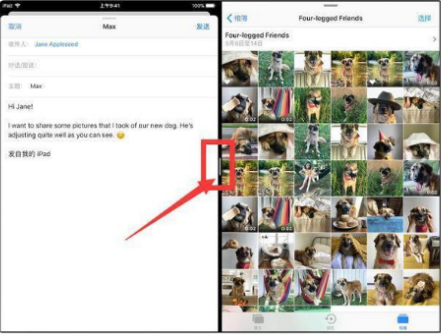 1615802161852760.png image.png