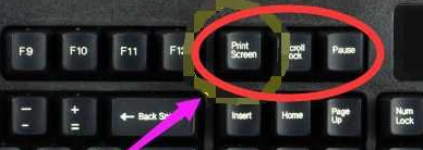 1635411744116581.png image.png