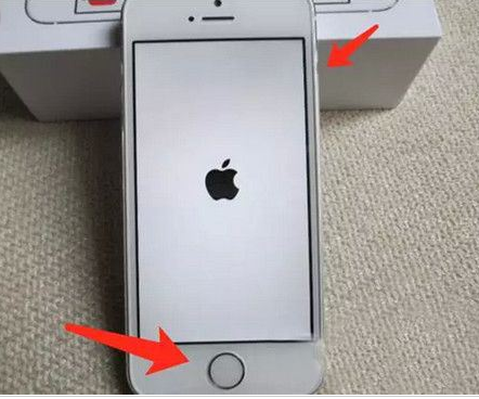 苹果手机 苹果手机