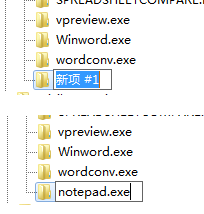 镜像劫持 镜像劫持