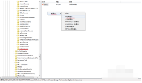 镜像劫持 镜像劫持