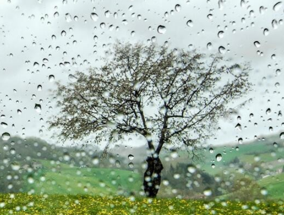 动态桌面 动态桌面